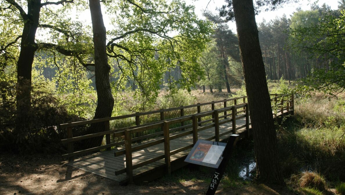 Eine kleine Holzbrücke führt über einen Bach