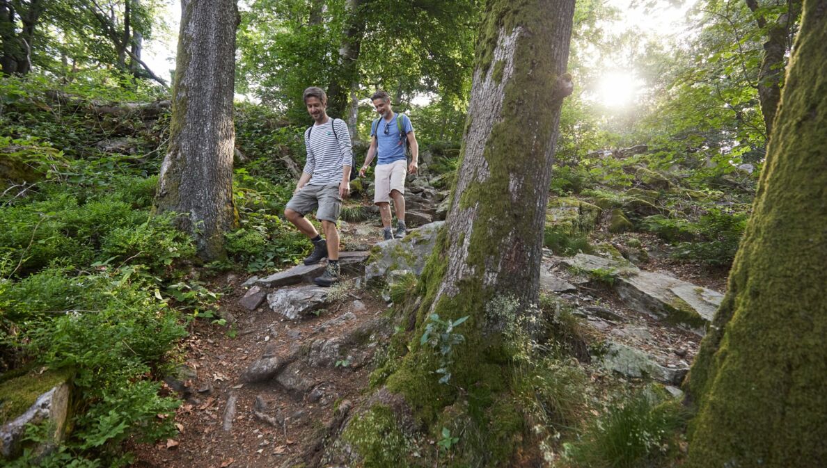 Zwei Männer gehen durch einen Wald einen steinigen Hügel herunter