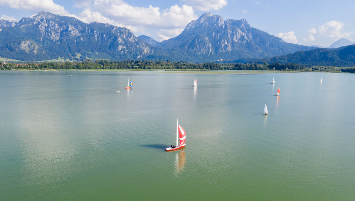 Mehrere kleine Segelboote segeln auf einem See vor einer Bergkulisse