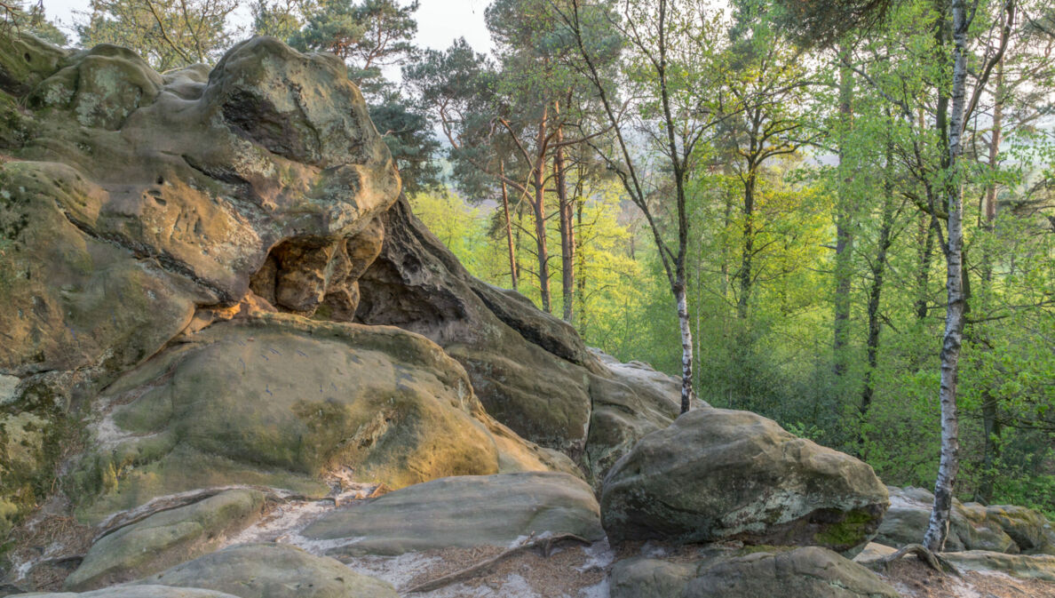 Blick auf die Dörenther Klippen im Teutoburger Wald.