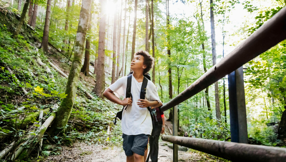 Ein Junge mit Rucksack wandert durch den Wald und beobachtet die Natur