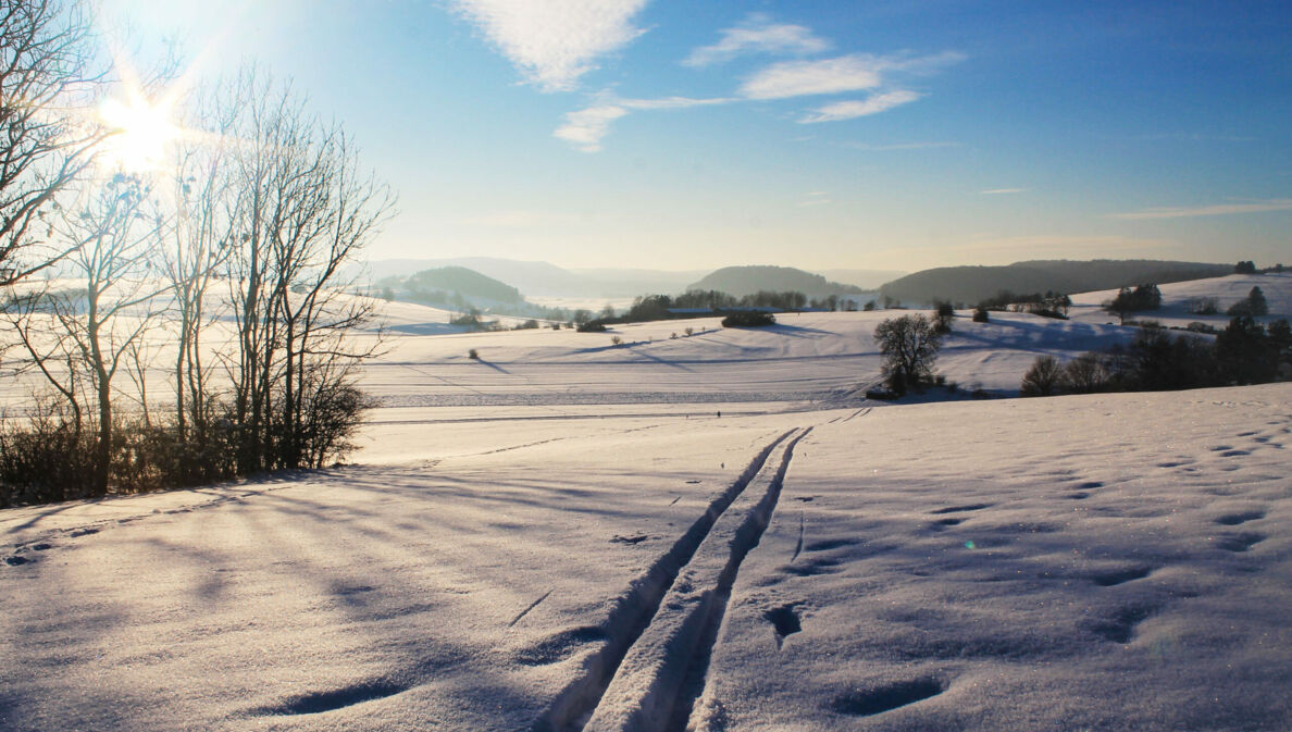 Eine Langlauf-Loipe mit weitem Blick in die ebene Landschaft.