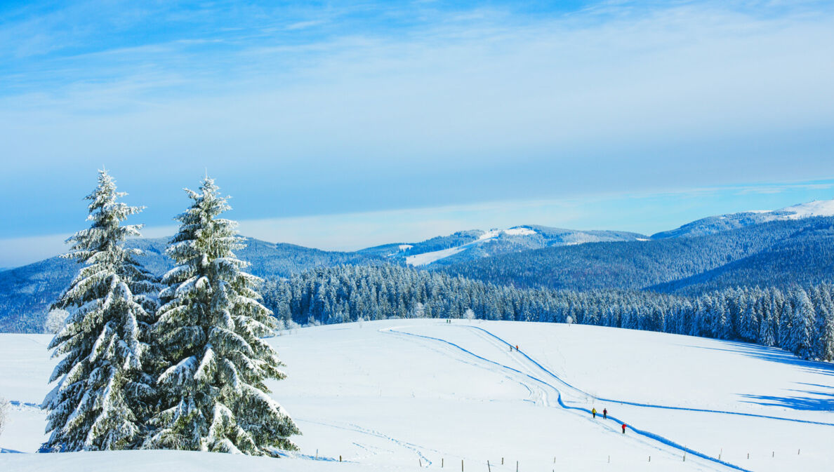 Eine bergige Schneelandschaft mit Skifahrer:innen im Hintergrund.