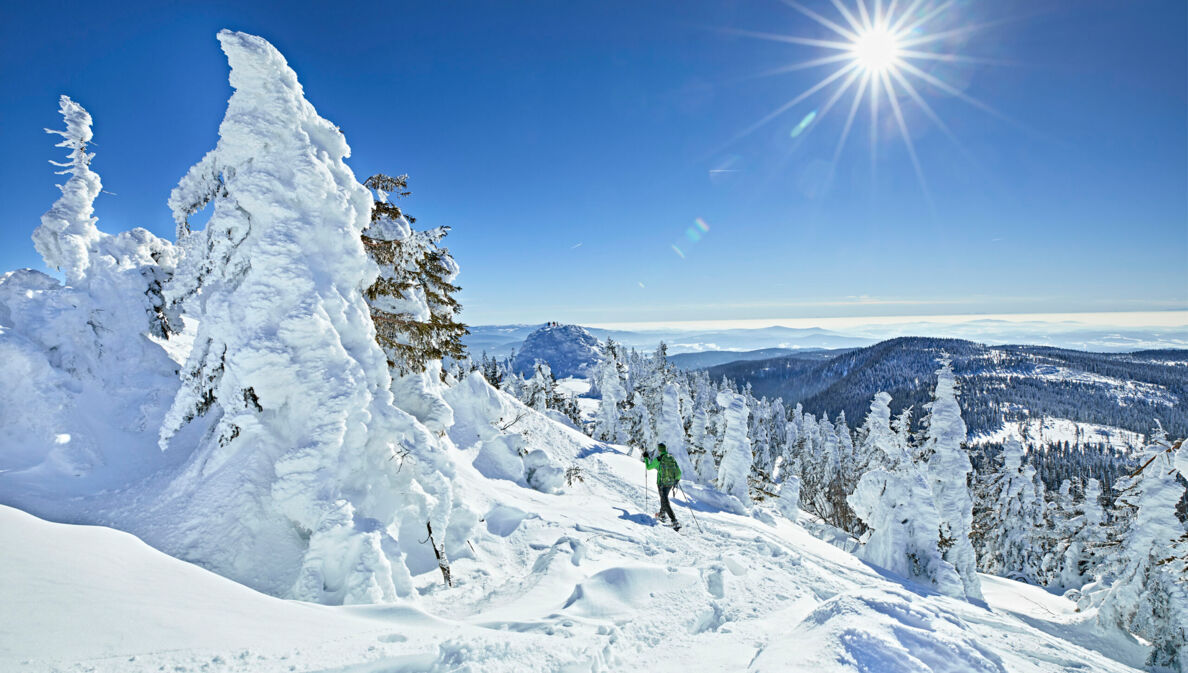 Ein Wanderer im Allgäu