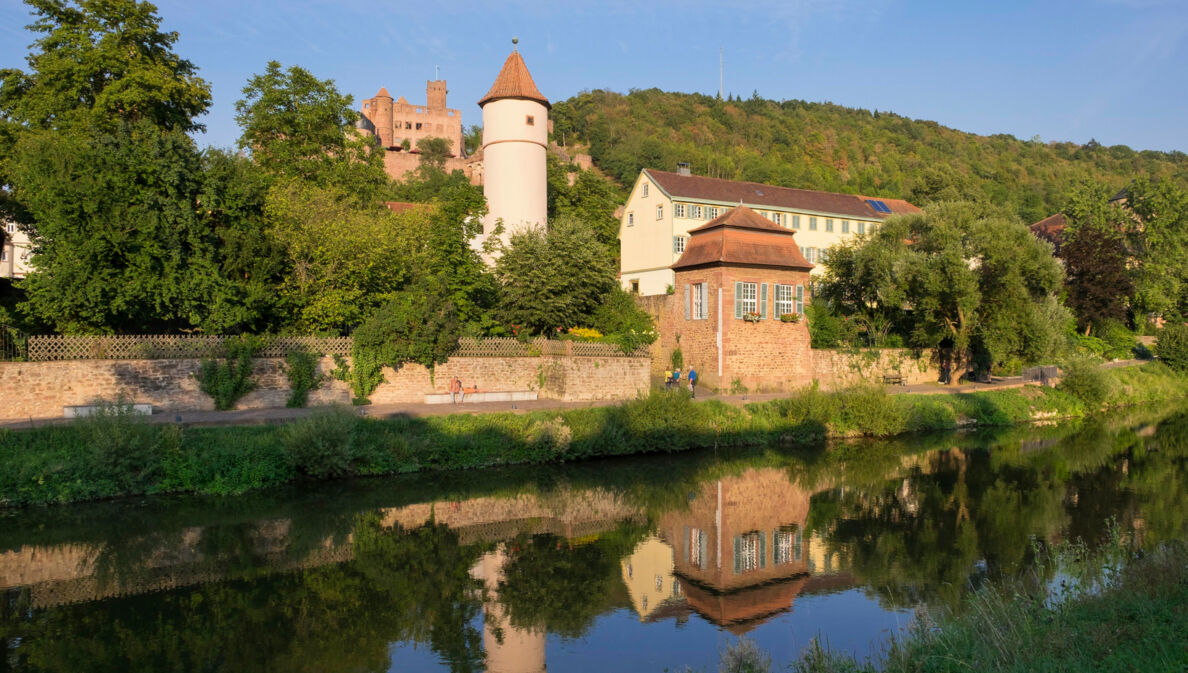 Blick über die Tauber auf die Stadt Wertheim mit Burgruine