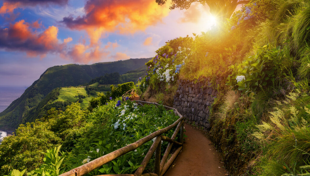 Panoramaweg mit blühender Vegetation mit Blick auf die felsige Küste der Azoreninsel São Miguel