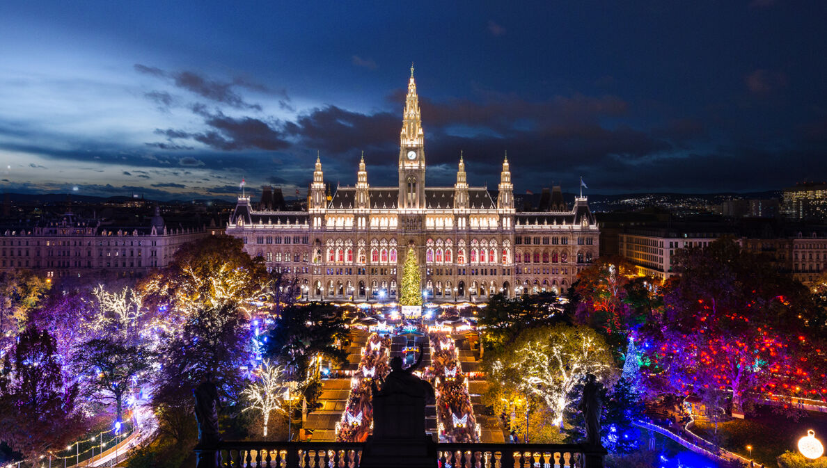 Panoramablick auf das hell erleuchtete Wiener Rathaus und den Rathausvorplatz mit bunt beleuchteten Bäumen bei Nacht