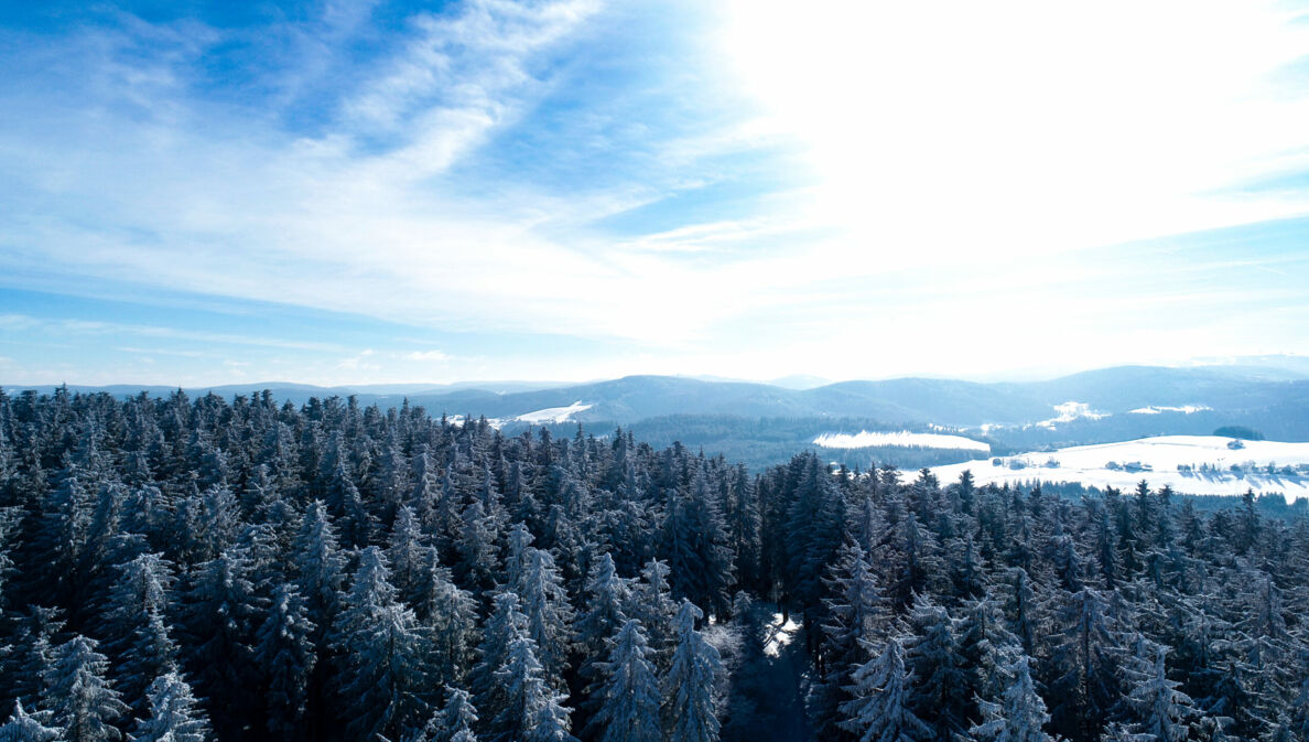 Blick über schneebedeckte Wälder und Berge