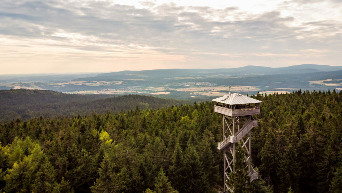 Aussichtsturm inmitten eines Waldes