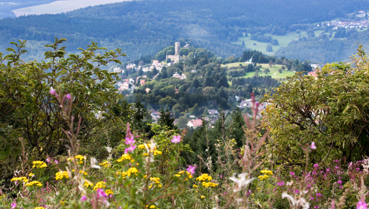 Die Burg Reifenberg aus der Ferne.