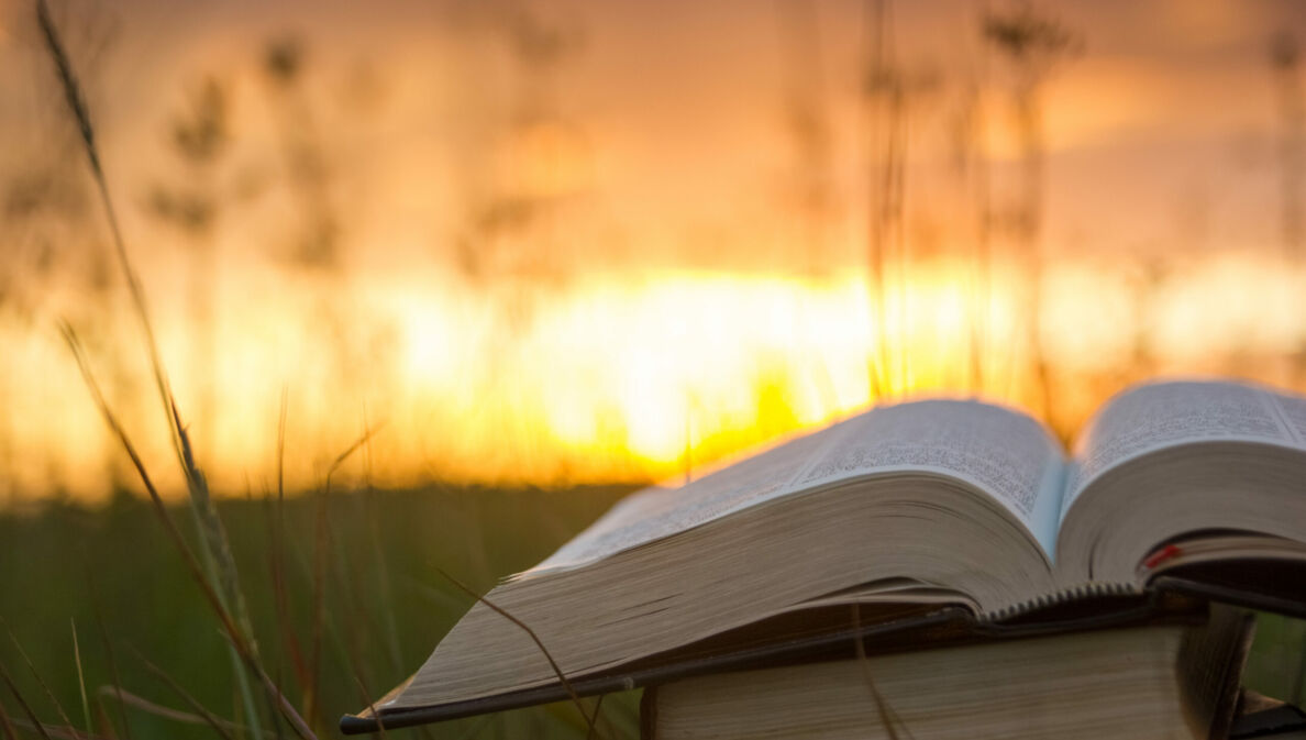 Bücher im Gras vor Sonnenaufgang