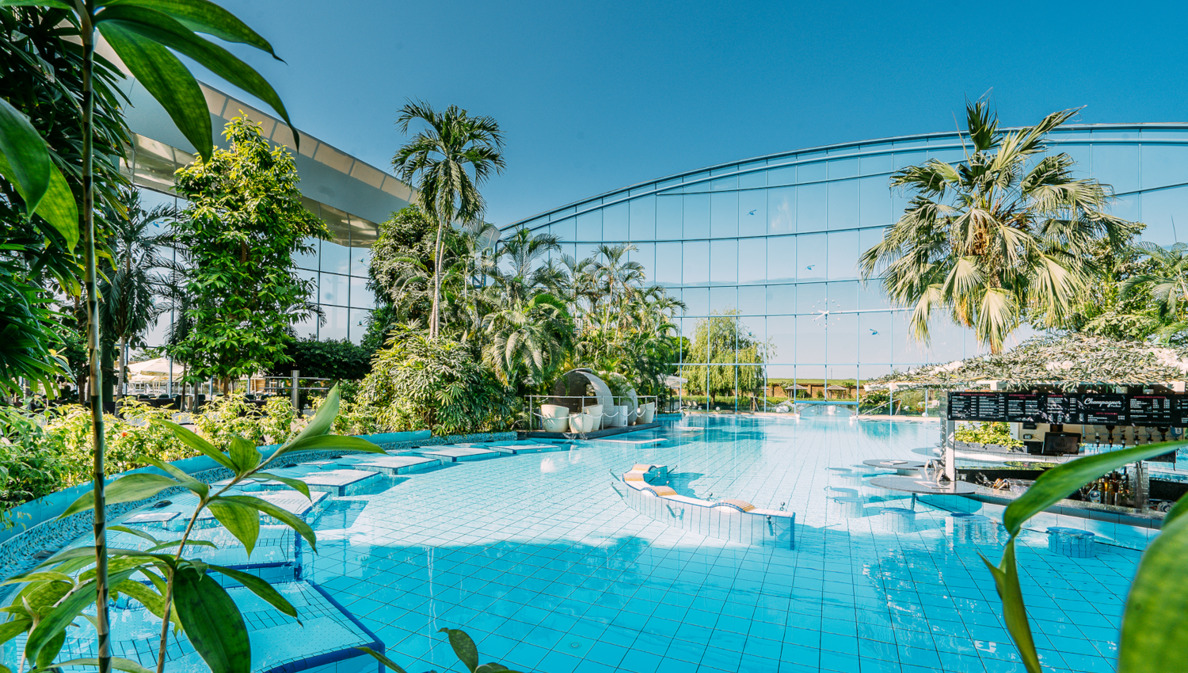 Eine von tropischen Pflanzen umgebene Outdoor-Poollandschaft vor einem verspiegeltem Gebäudekomplex