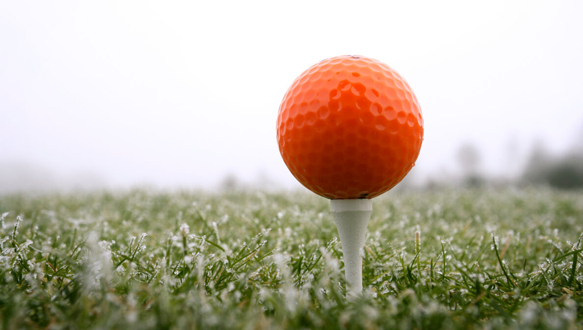 Ein roter Golfball auf dem Tee, darunter taubedeckter Rasen