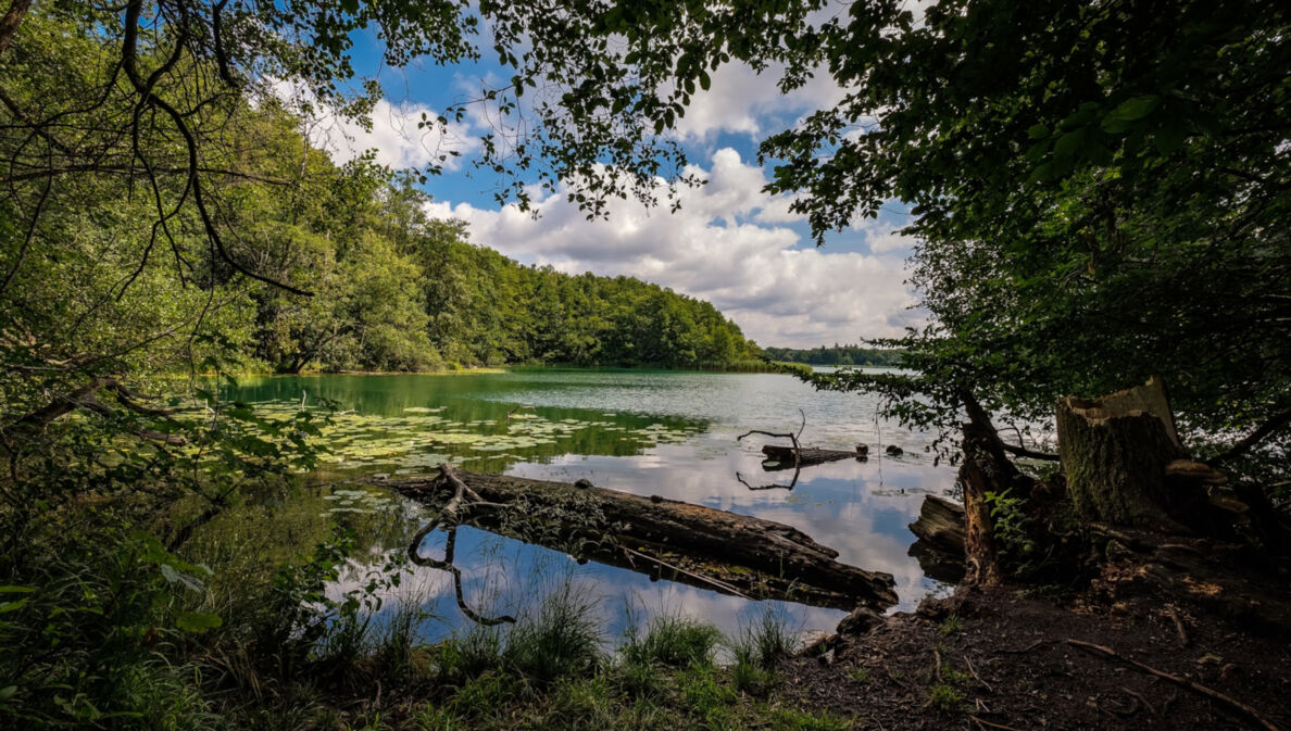 Der Schermützelsee in der Märkischen Schweiz