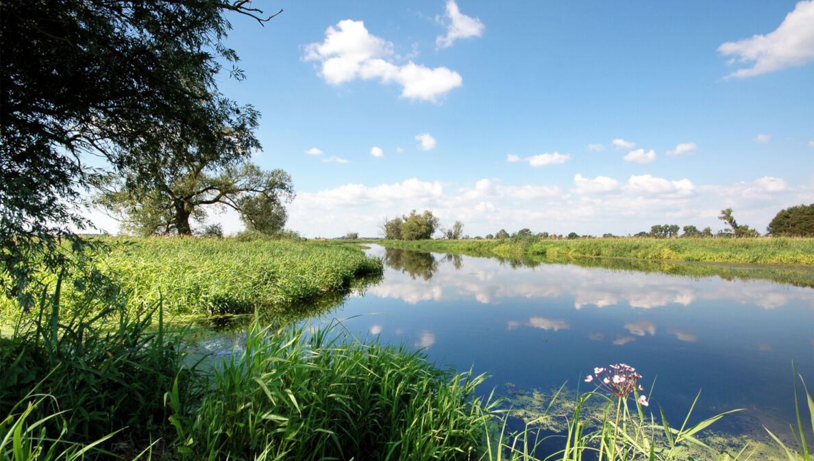 Ein von Wiesen und Bäumen umgebener Fluss