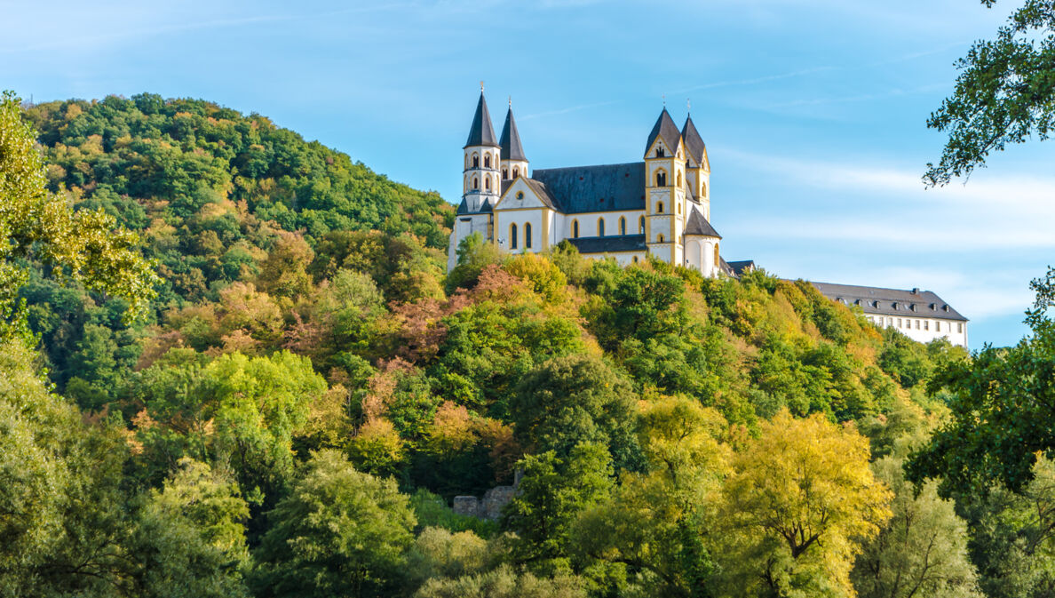 Das Kloster Arnstein aus der Froschperspektive.