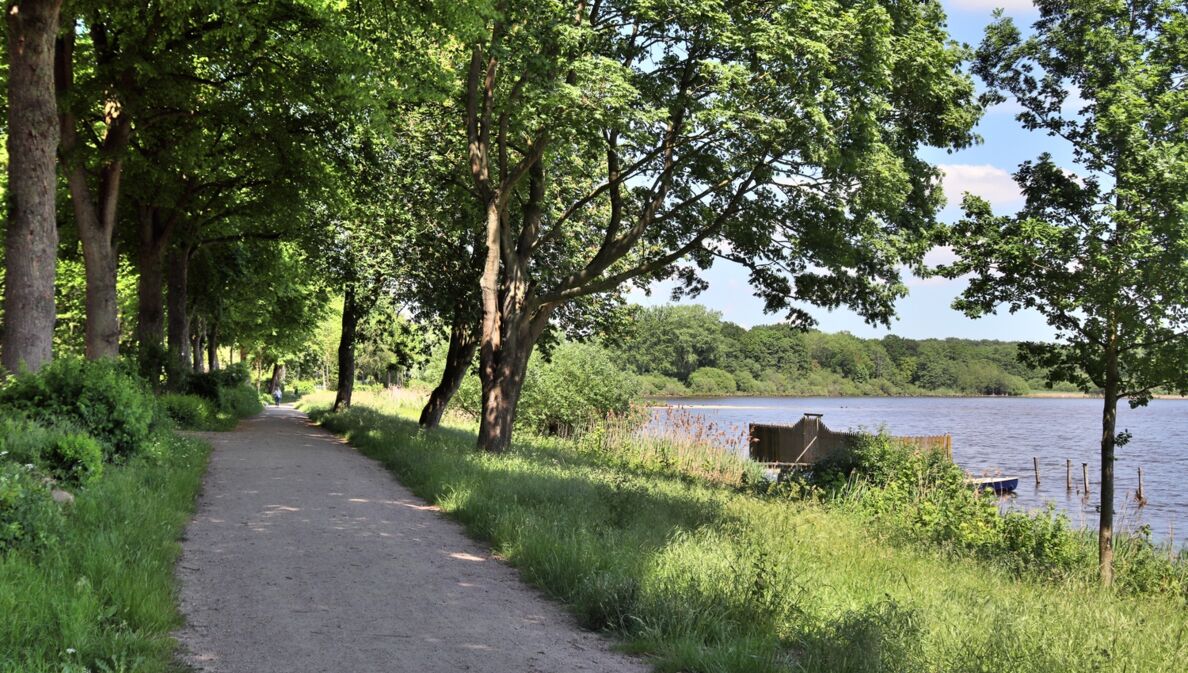 Ein malerischer Weg an einem See