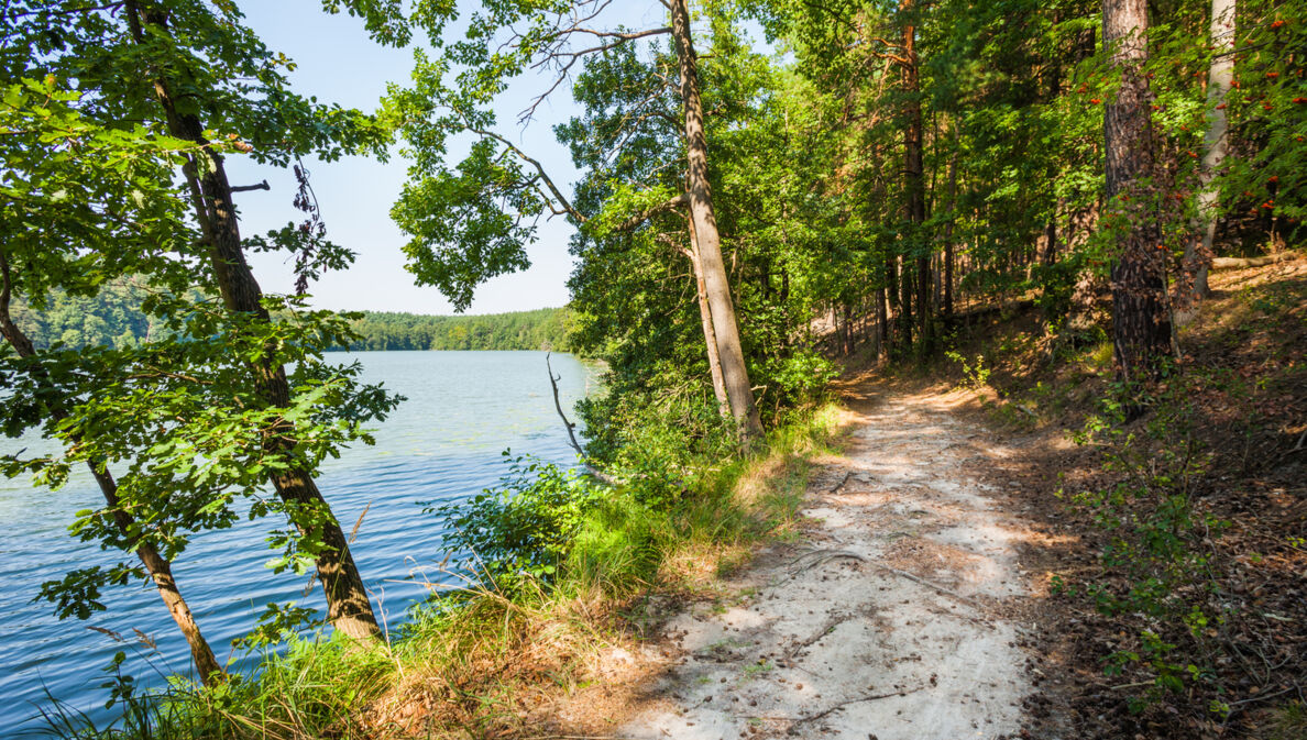 Sandiger Wanderweg neben einem Gewässer.