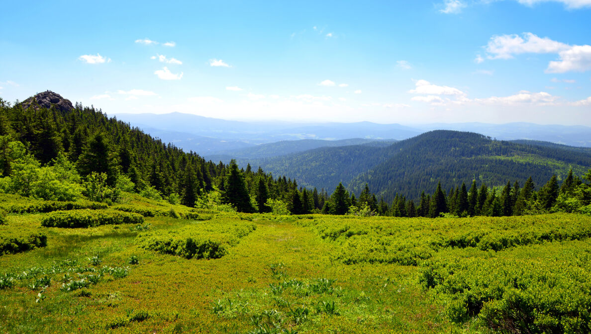 Blick von einem Berg über eine hügelige Berglandschaft