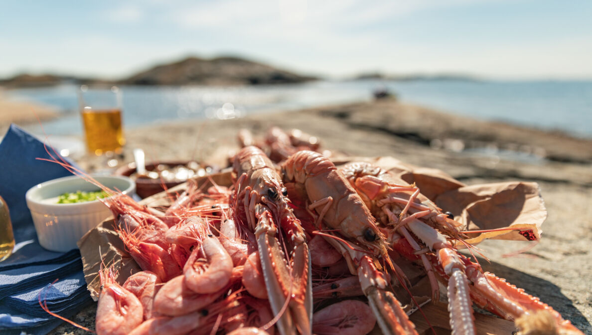 Scampi und Garnelen am Meer