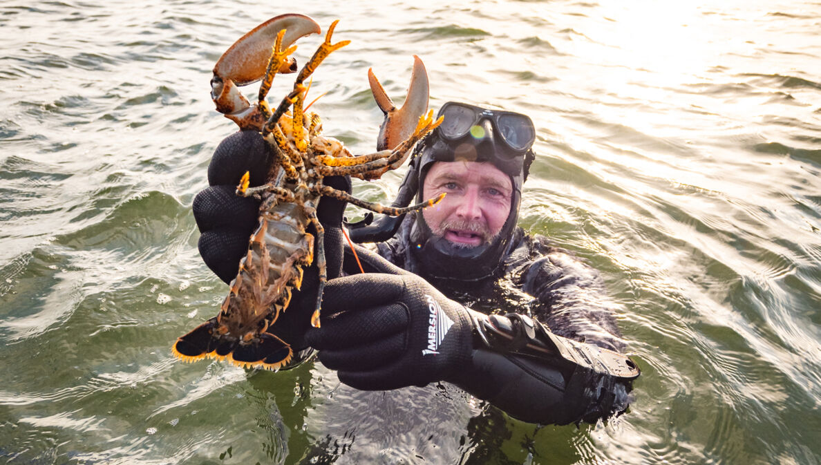 Brian Bojsen fängt Hummer