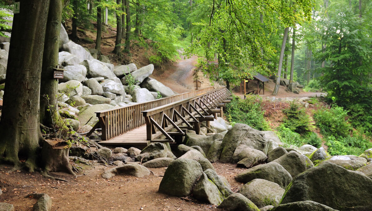 Holzsteg über Felsen im Naturpark Bergstraße-Odenwald