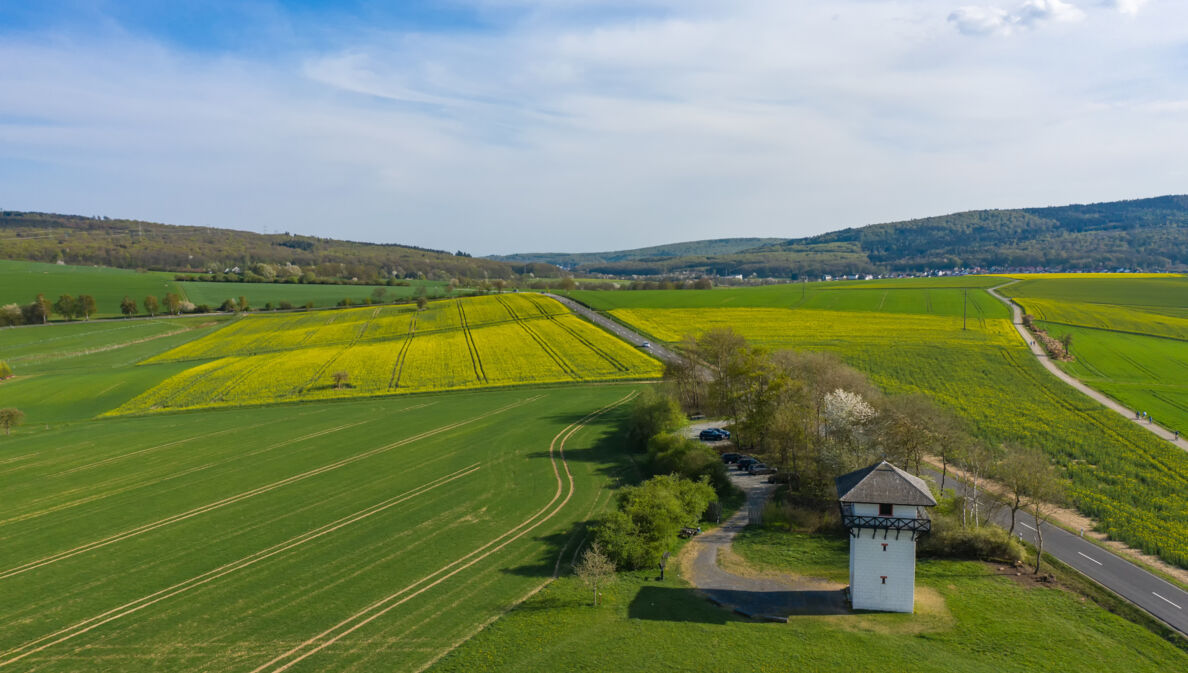 Blick auf eine sommerliche Landschaft mit Feldern