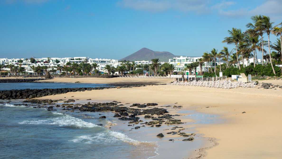 Morgendliche Ebbe am leeren Sandstrand in Costa Teguise auf Lanzarote