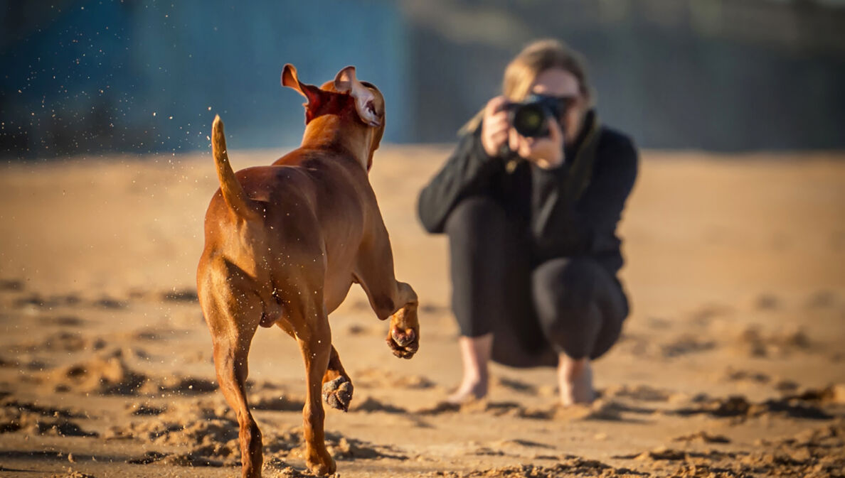 Ein Hund rennt auf eine junge Frau mit Kamera zu