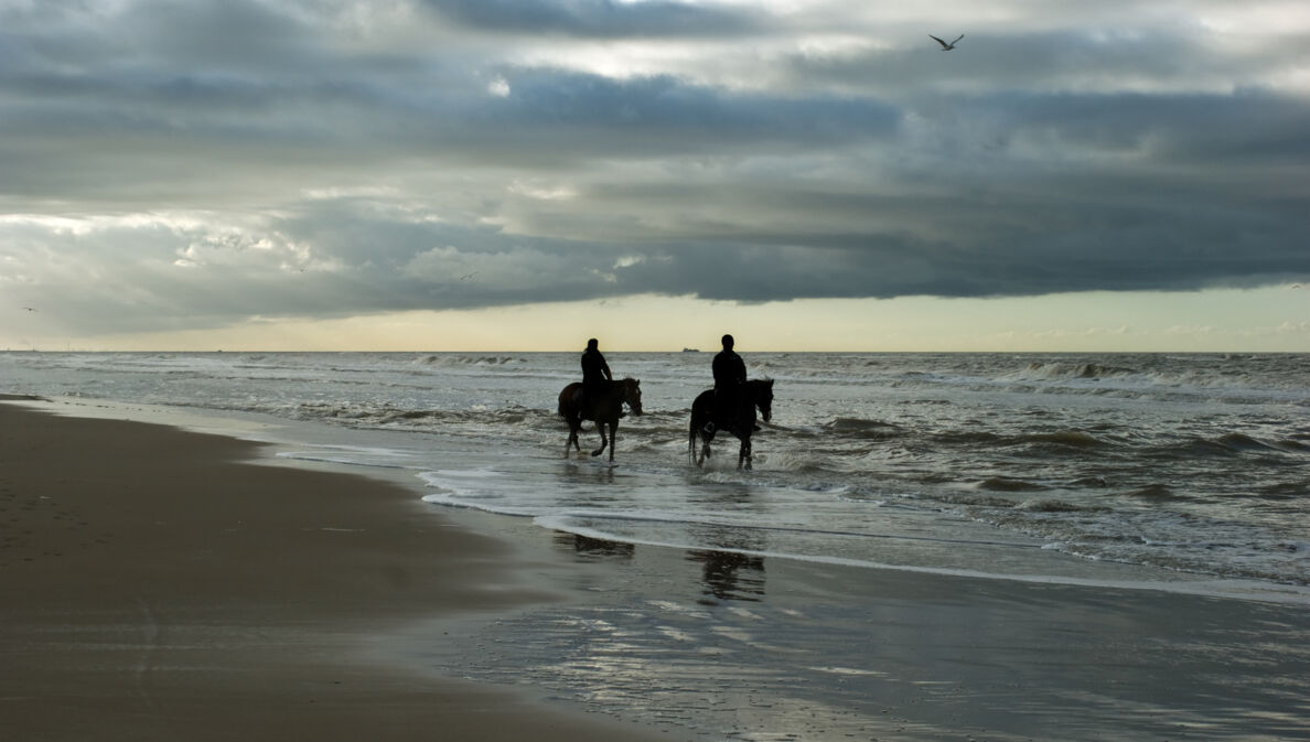 Zwei Menschen reiten in der Dämmerung auf dem Nordseestrand.