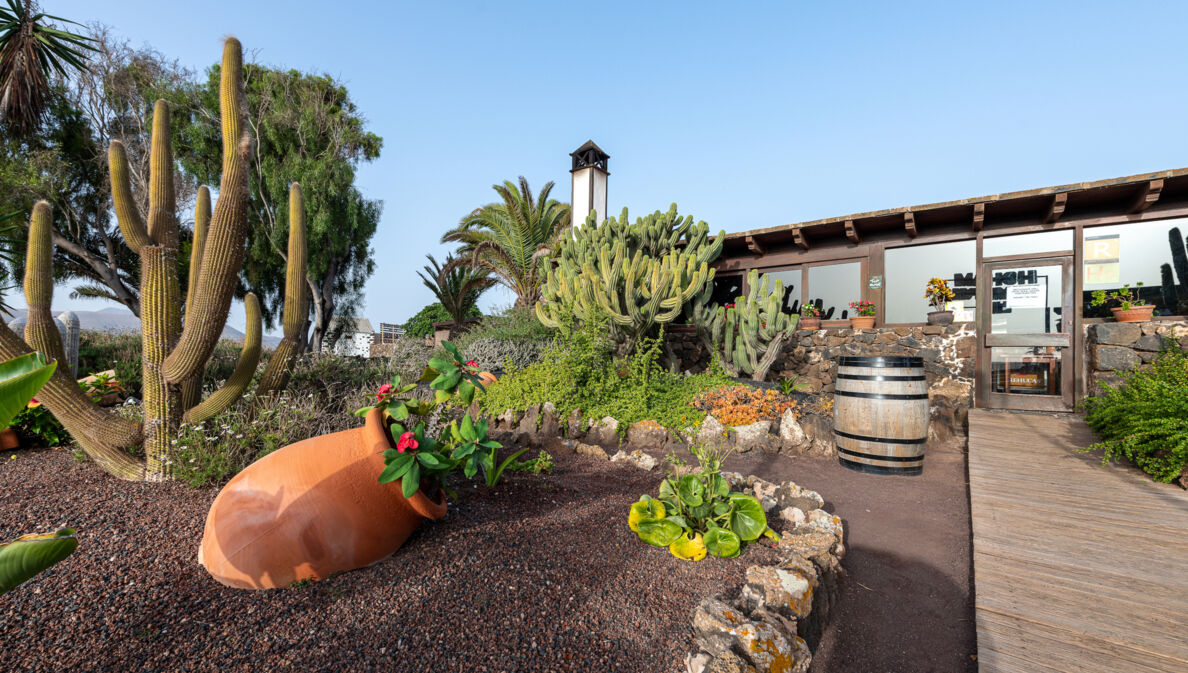 Zugang zu einem Restaurant durch einen mediterranen Garten mit Kakteen