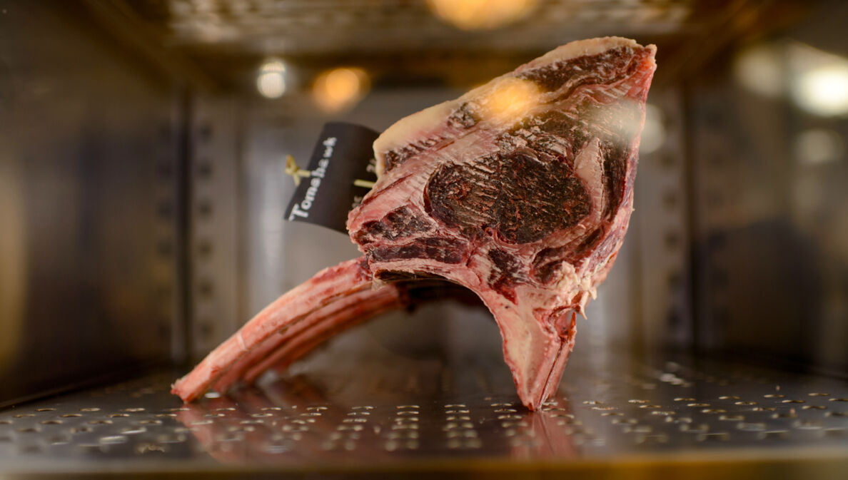 Ein Stück Tomahawk Steak während der Trockenreifung