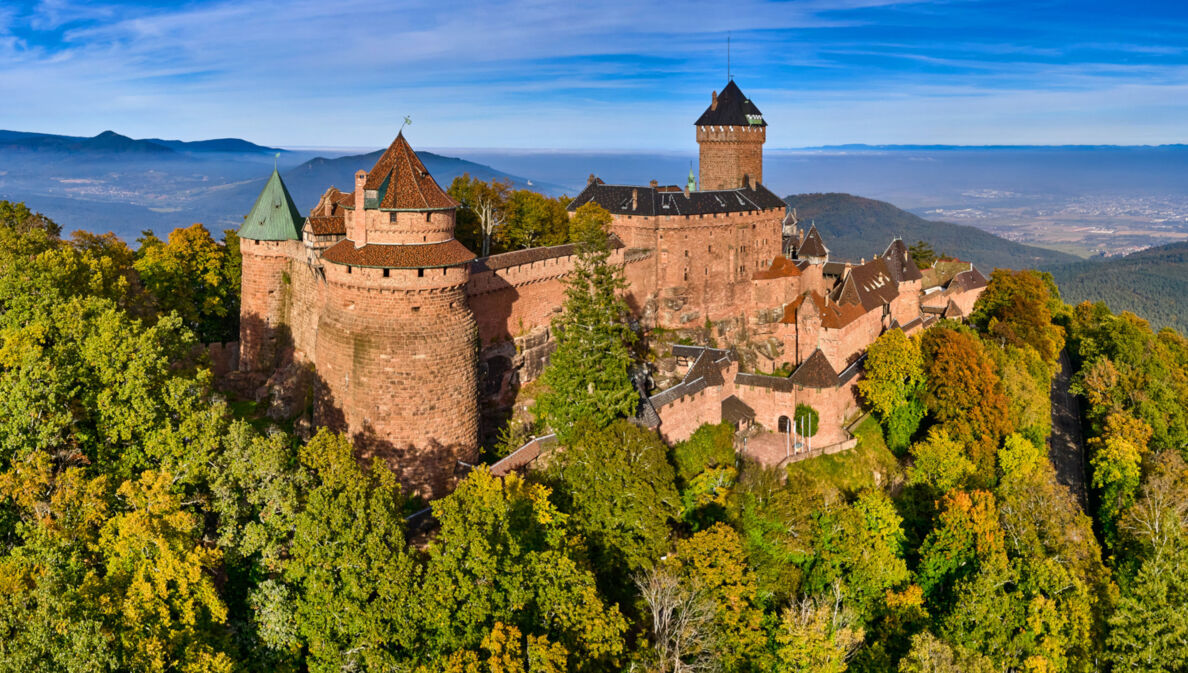 Panoramaaufnahme der mittelalterlichen Hohkönigsburg auf einem bewaldeten Hügel im Elsass