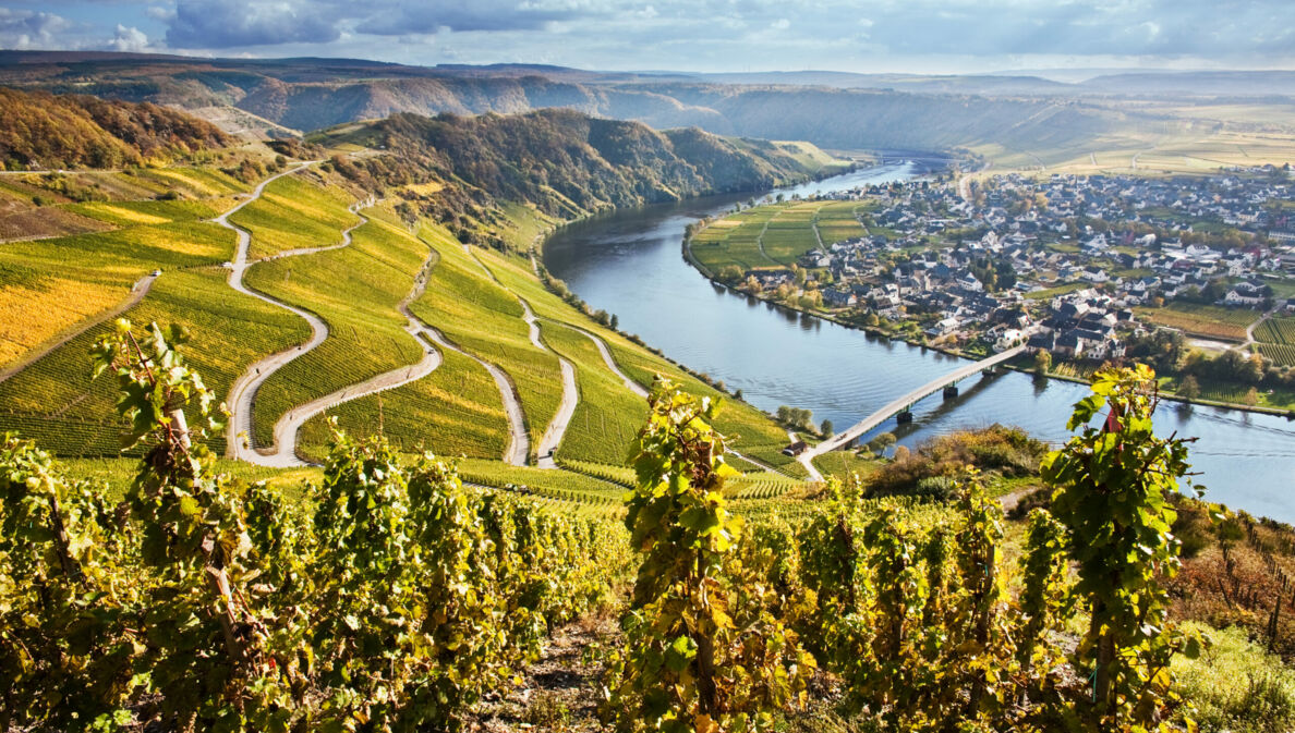 Panoramablick über die Moselschleife mit einer Serpentinenstraße zum Fluss hinunter