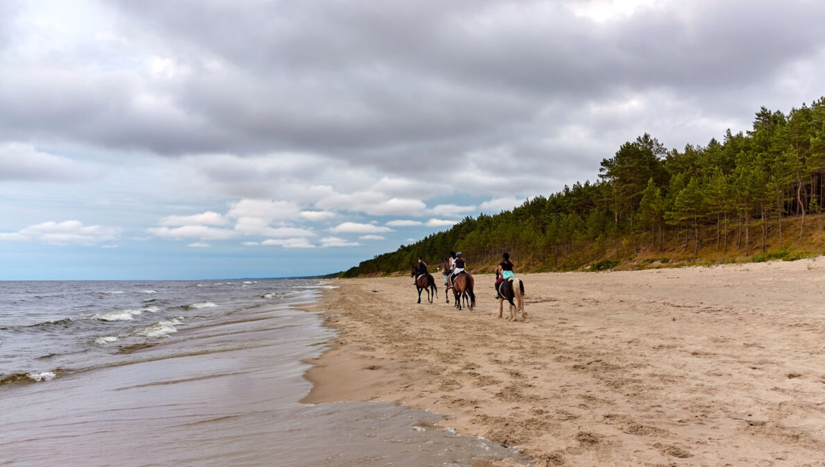 Vier Menschen auf Pferden reiten einen Strand entlang