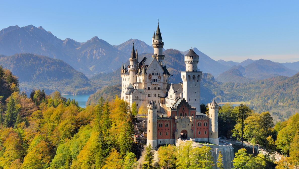 Schloss Neuschwanstein, eingebettet in bewaldete Berglandschaft