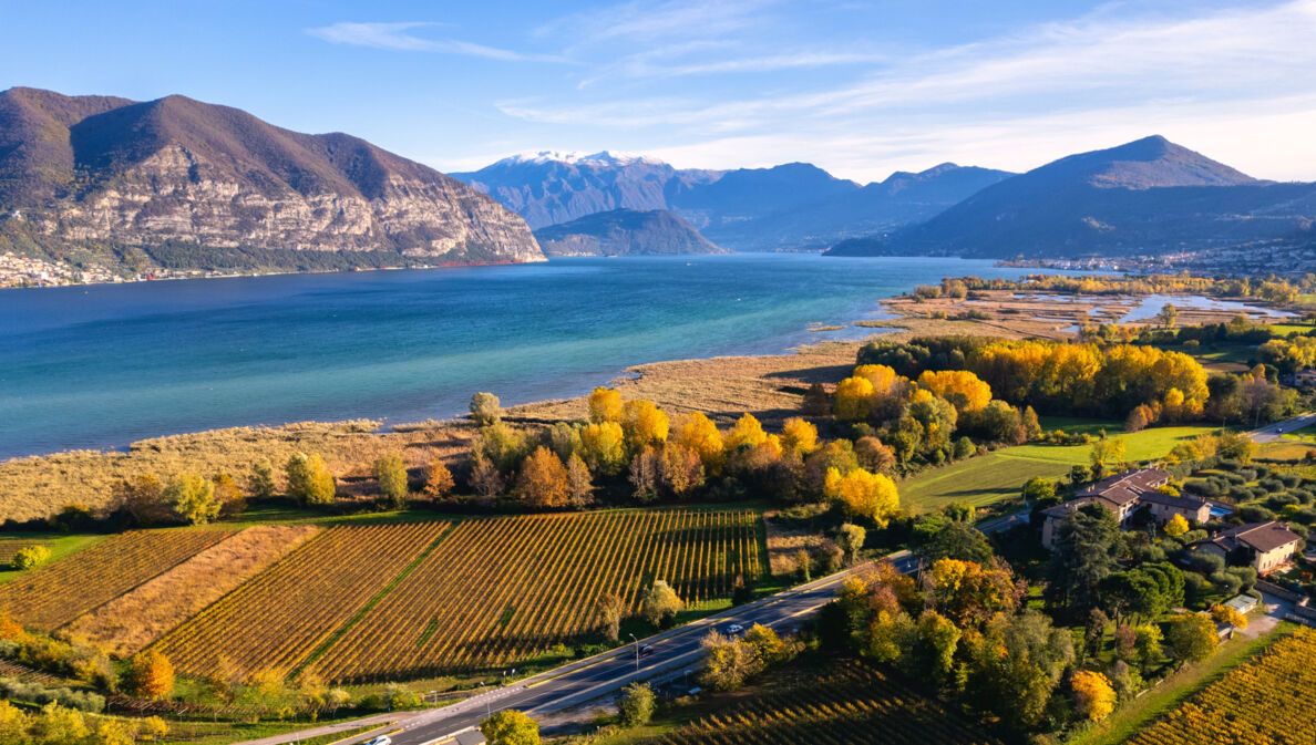 Weinbaugebiet an einem See vor Bergpanorama im Herbst