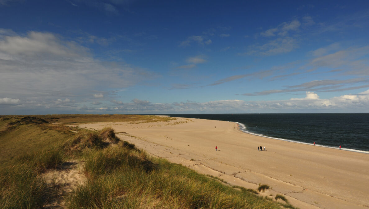 Personen spazieren auf einem breiten Sandstrand an einer grasbewachsenen Dünenlandschaft