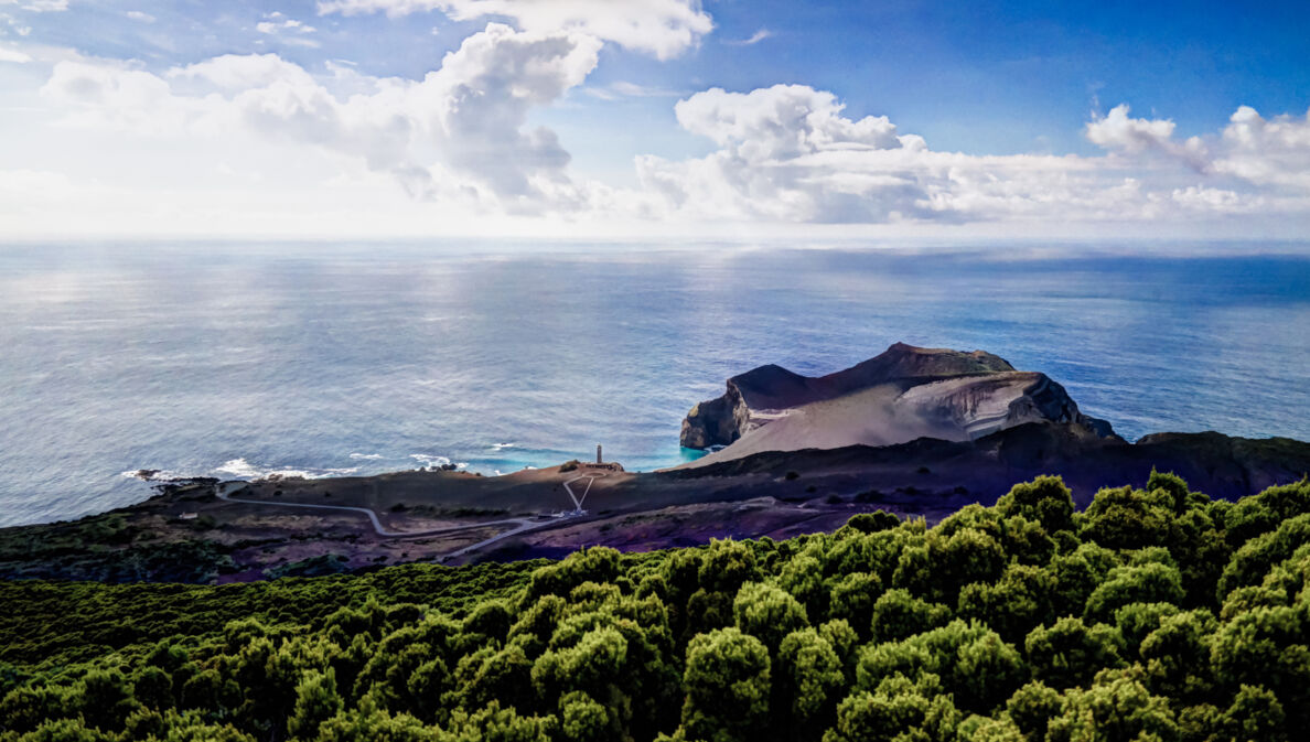 Felsküste mit schwarzen Klippen am Meer, im Vordergrund grüne Waldlandschaft.