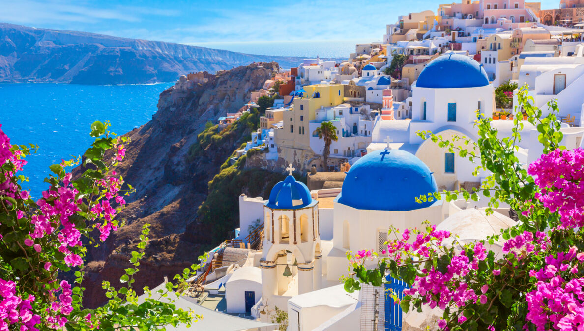 Steilküste von Santorin am Meer mit weißen Häusern mit blauen Dächern, im Vordergrund Bougainvillea.