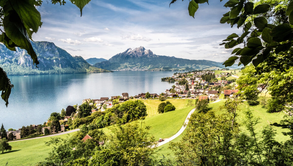 Der Vierwaldstättersee mit Ortschaft, umgeben von Grünflächen, im Hintergrund Bergpanorama.