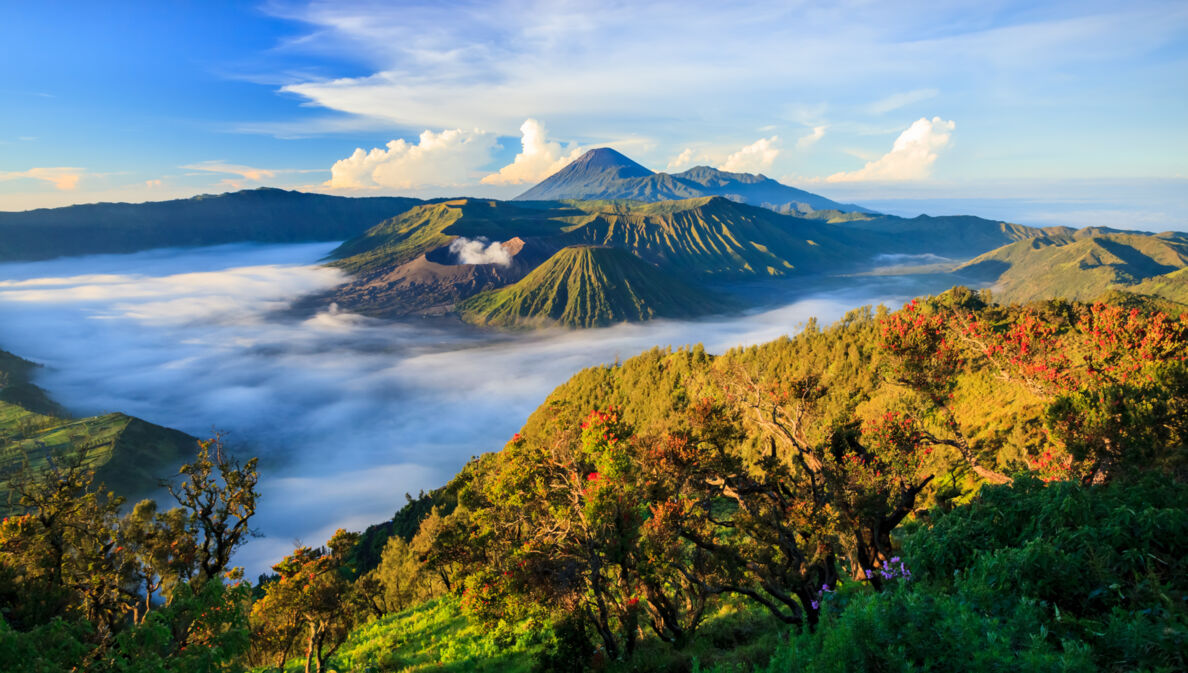 Landschaftsaufnahme über die indonesische Insel Java mit Vulkanen im Hintergrund.