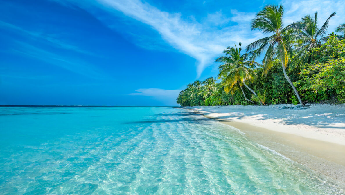 Palmengesäumter Strand auf den Malediven.