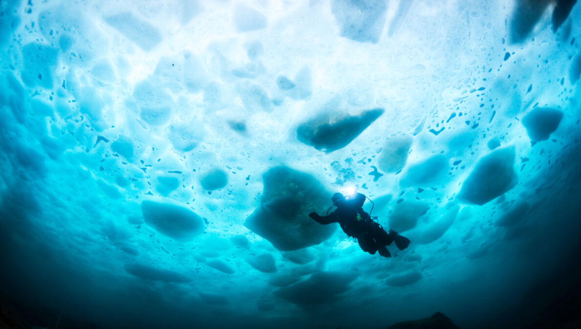 Person in Taucherausrüstung, die im Wasser unter einer Eisdecke schwimmt.