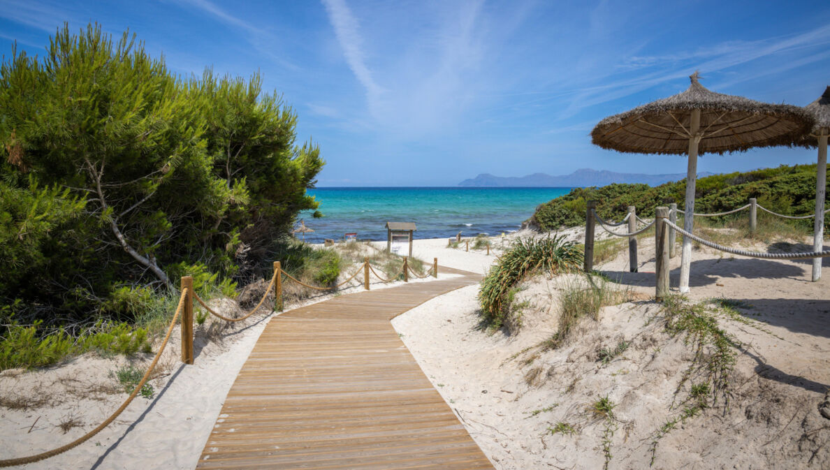 Ein Holzsteg führt durch Dünen zu einem Sandstrand am türkisblauen Meer.