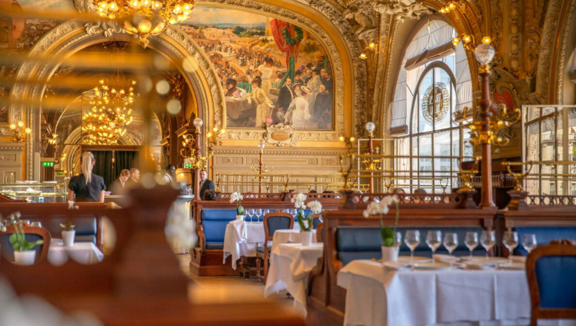 Prachtvoller Speisesaal mit goldenem Stuck sowie Wand- und Deckengemälden.