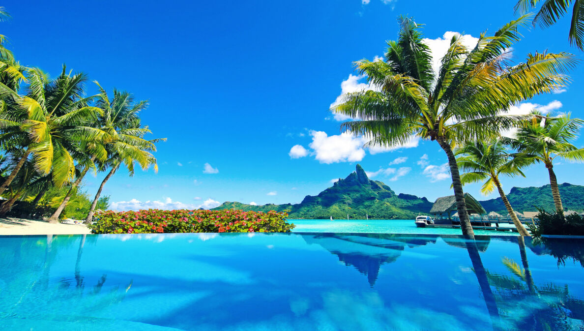 Von Palmen gesäumter Infinitypool an türkisblauer Lagune mit Blick auf eine Küste mit grüner Vegetation unter blauem Himmel.