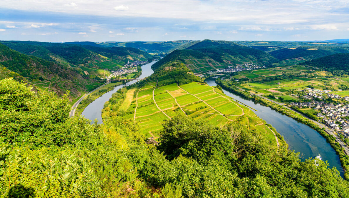 Moselschleife in Bemm mit Blick vom Calmont.