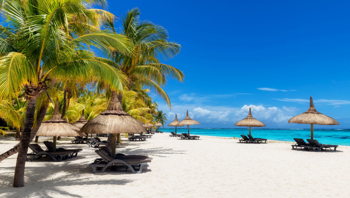 Weißer Sandstrand auf Mauritius mit Sonnenliegen, Strohschirmen, grünen Palmen und türkisfarbenem Meer.