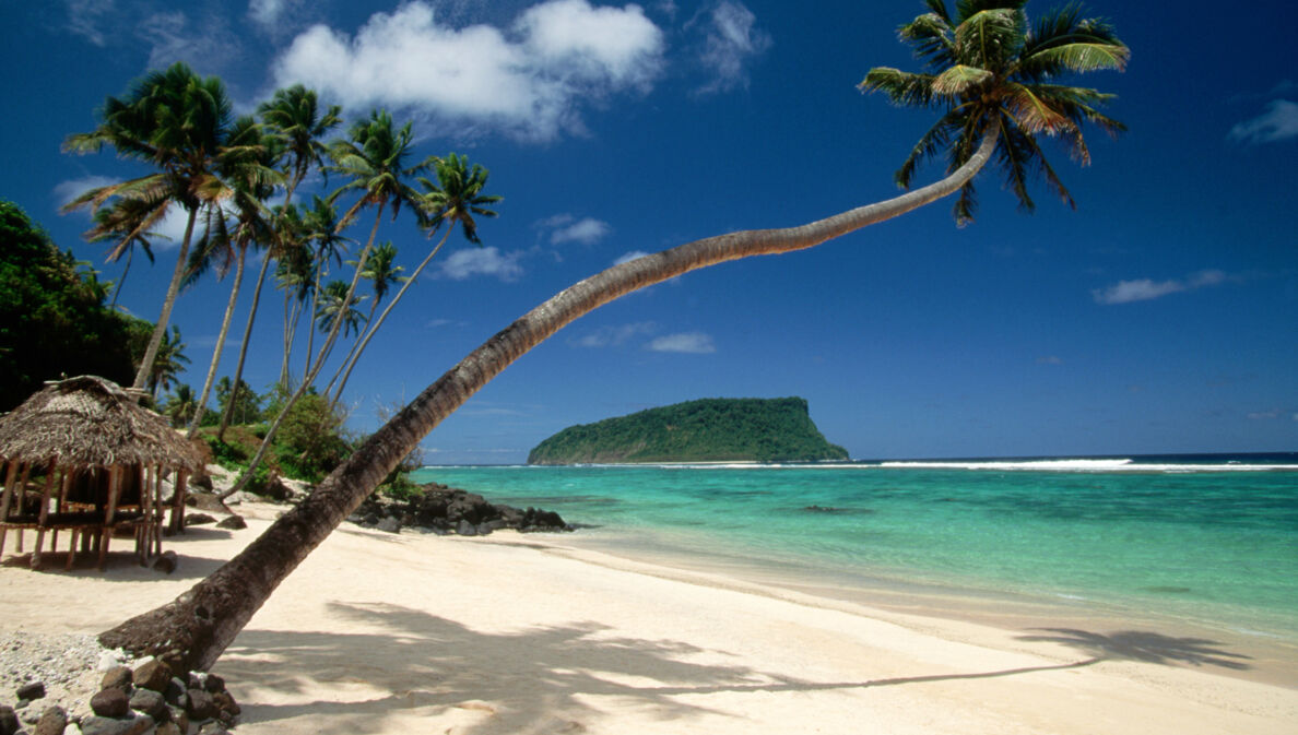 Weißer, palmengesäumter Sandstrand an türkisblauem Meer, im Vordergrund eine waagerecht gewachsene Palme.